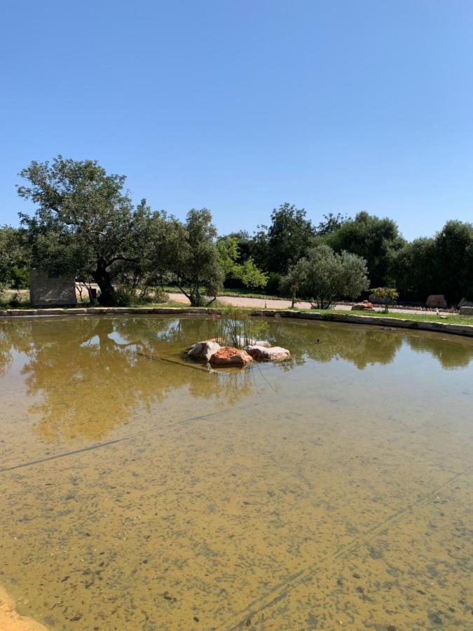 Casa Branca Konuk evi Tavira Dış mekan fotoğraf